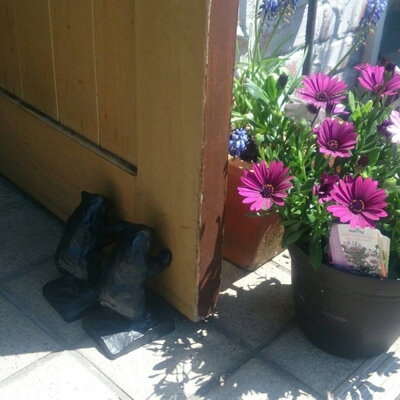 �ɥ����ȥåѡ��֥��ޡץ������󥹥ȥåѡ� ���ޥ��å� �֥å������ �������  �ⲬƼ�� ��ë��Ź  ��ʪ ��ʪ ��Ŵ������������