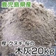 �����縩�� �ڳ� 20kg��1ɶ�� �� ��