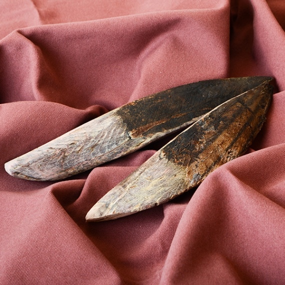 ��������� �� �᤭�� �Х� 10�� / ���� ���Ĥ���