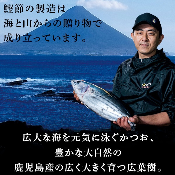   1ܥХ /  Ĥ  ̵餫ᡡ䤹