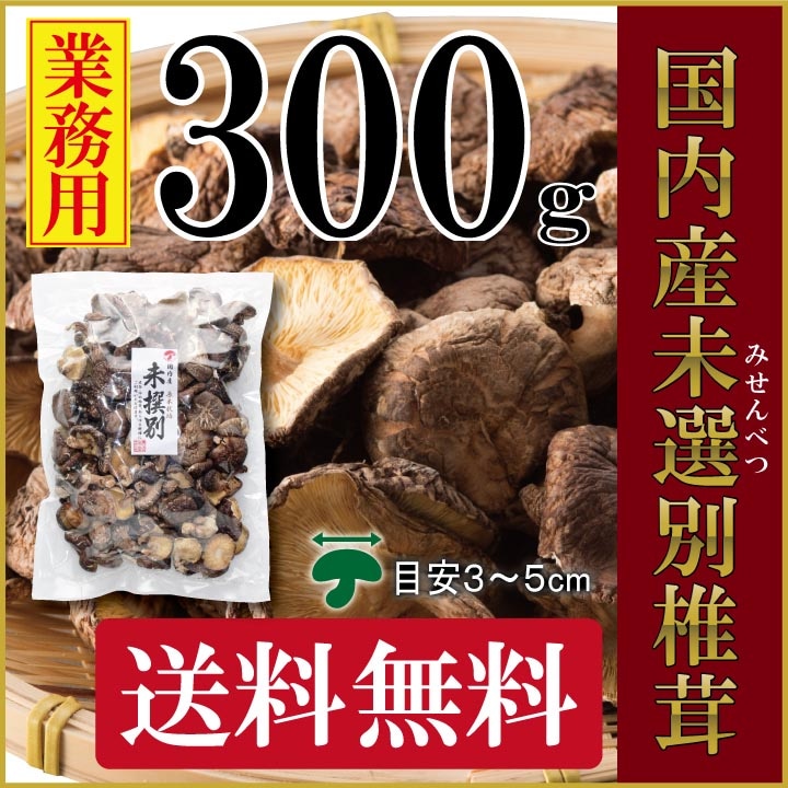 ������̵���۶�̳�ѡ����⻺�������ܻ���̤��������300��㴳������/���⻺/������������/������������/��������/�����˥��/̵������