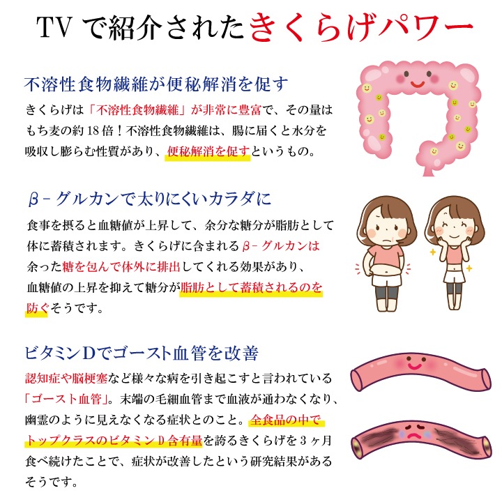 ̵ۤ餲ȤѼѿ2糧åȡڤˤ ǼƦ ΤĤޤߤ ¤ʪ ɤ ӥߥ 1000ߤݤä ﲹ åȡ