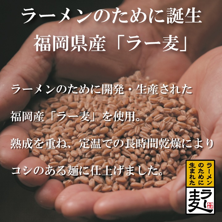 ������̵���ۤ������������顼���4�����åȡھ������� Ĺ�껺 ���� ˧��ʾ��������� ������ ʡ�������顼�� ���åȡ�