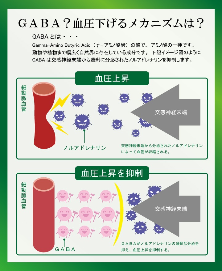 ������̵������ʬ����������ɤ������ץ饹��4�ĥ��åȡ�찵���������� ��ǽ��ɽ������ ��찵 �찵�к� GABA �찵�򲼤��� �������� ��������