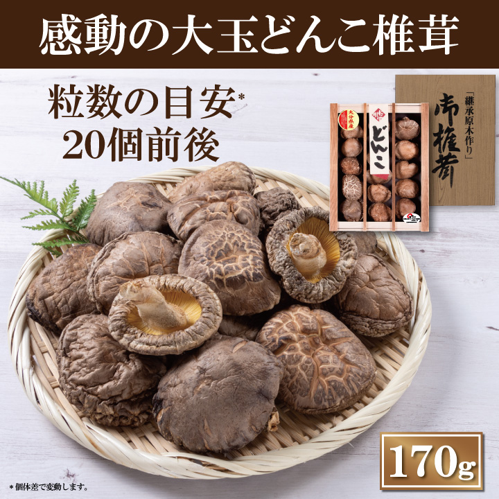 ʬ̤ɤȢ170ڤ渵  ե ̵͡  ɤ ںݡ