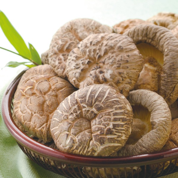 ��ʬ����̤ɤ���������Ȣ�����260��ڤ��渵 ������ ���ե� ���͡�������������̵�� �������� �ɤ� ���ں��ݡ�