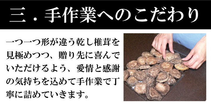 彣͹礻180ڤ渵  ե ̵͡  ɤ ںݡ̵