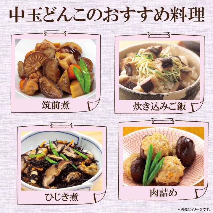 ������̵���۹��⻺�������ܻ��ˤ����̤ɤ�����80��㴳������/���⻺/������������/������������/��������/�����˥��/̵������