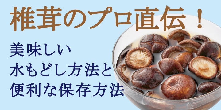 ������̵���۹��⻺�������ܻ��ˤ����̤ɤ�����80��㴳������/���⻺/������������/������������/��������/�����˥��/̵������