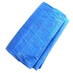 WING ACE/󥰥 BS-3654(P) ֥롼 ꥿P