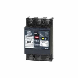 テンパール GB-63EC 60A 30MA Eシリーズ(経済タイプ)漏電遮断器