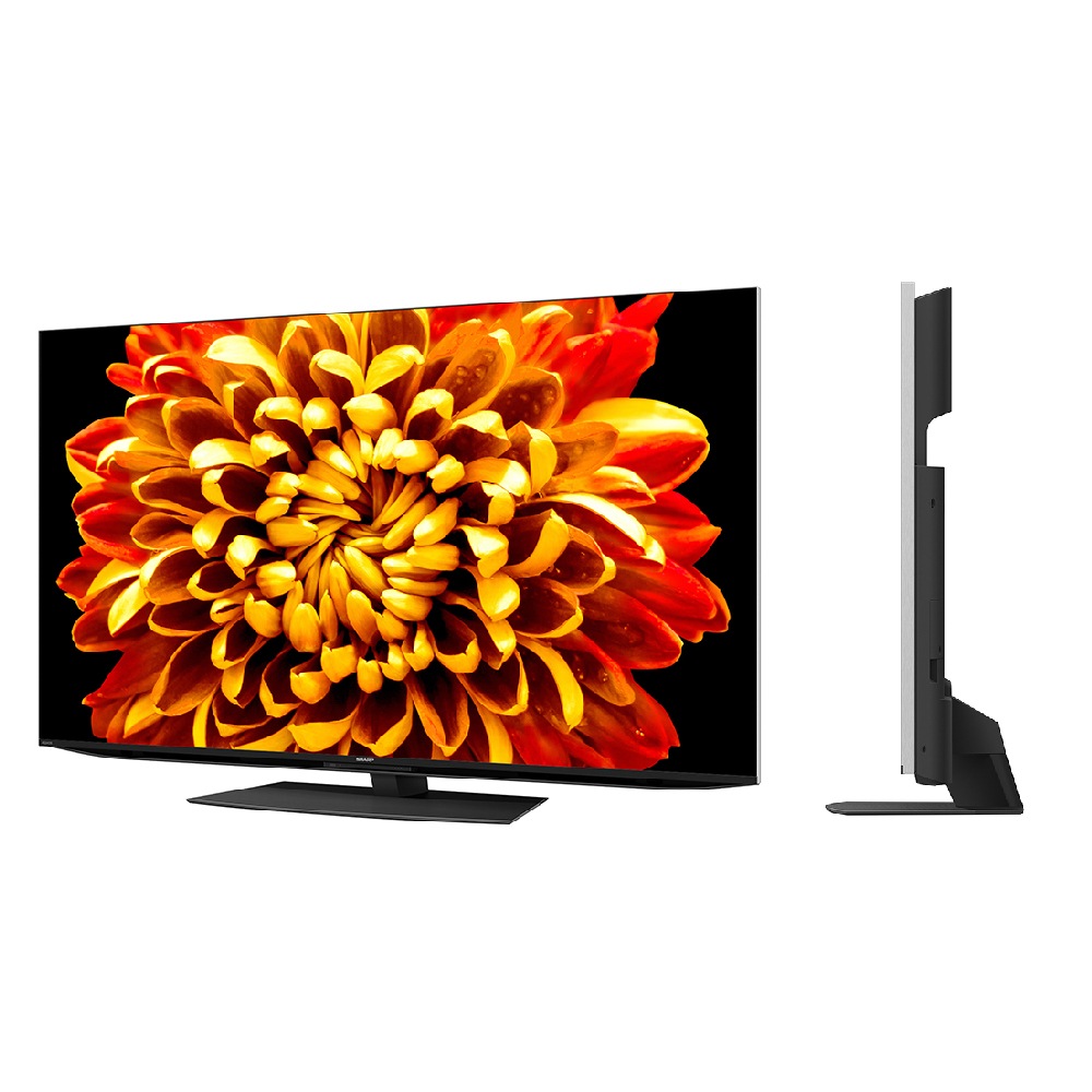 SHARP/���㡼�� 4T-C55DP1 AQUOS 55V�� /4K�б� /BS��CS 4K���塼�ʡ���¢ /YouTube�б� /Bluetooth�б� ��MiniLED�ƥ�ӡ�