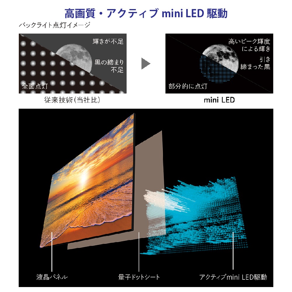 SHARP/���㡼�� 4T-C55DP1 AQUOS 55V�� /4K�б� /BS��CS 4K���塼�ʡ���¢ /YouTube�б� /Bluetooth�б� ��MiniLED�ƥ�ӡ�