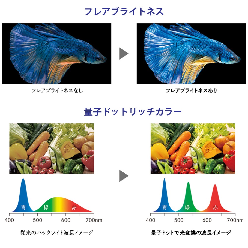 SHARP/���㡼�� 4T-C55DP1 AQUOS 55V�� /4K�б� /BS��CS 4K���塼�ʡ���¢ /YouTube�б� /Bluetooth�б� ��MiniLED�ƥ�ӡ�