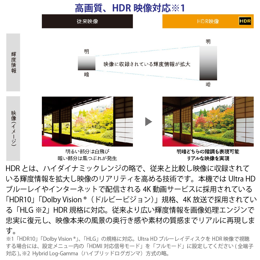 SHARP/���㡼�� 4T-C55DP1 AQUOS 55V�� /4K�б� /BS��CS 4K���塼�ʡ���¢ /YouTube�б� /Bluetooth�б� ��MiniLED�ƥ�ӡ�