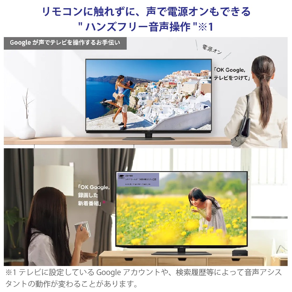 SHARP/���㡼�� 4T-C55DP1 AQUOS 55V�� /4K�б� /BS��CS 4K���塼�ʡ���¢ /YouTube�б� /Bluetooth�б� ��MiniLED�ƥ�ӡ�