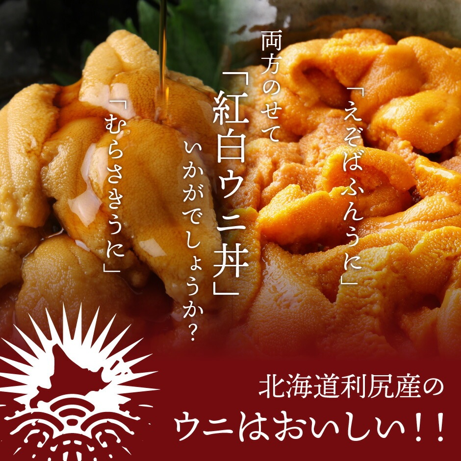 生えぞばふんうに 生むらさきうに 食べ比べセット 無添加塩水パック 特選品 生うに 生食用 0g 100g 各1パック 利尻産 Br Br ギフト ギフト 塩水うに ウニ うに 雲丹 生ウニ 海水生うに 生えぞばふんうに 北海道 うに本舗 生えぞばふんうに 生むらさきうに 食べ比べセット 無添加塩水パック 特選品 生うに 生食用 0g 100g 各1パック 利尻産 Br Br ギフト ギフト 塩水うに ウニ うに 雲丹 生ウニ 海水生うに 生えぞばふんうに 北海道 うに本舗