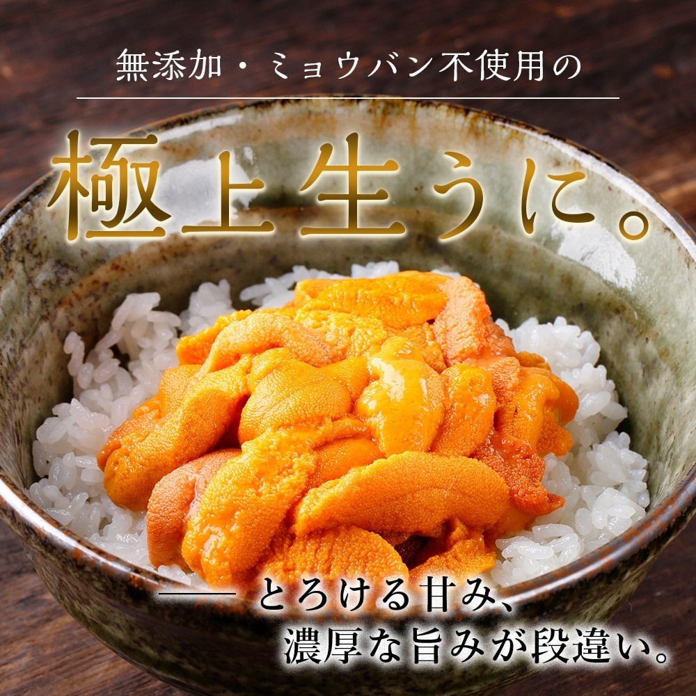 ロシア産　バフンウニ　　 100g