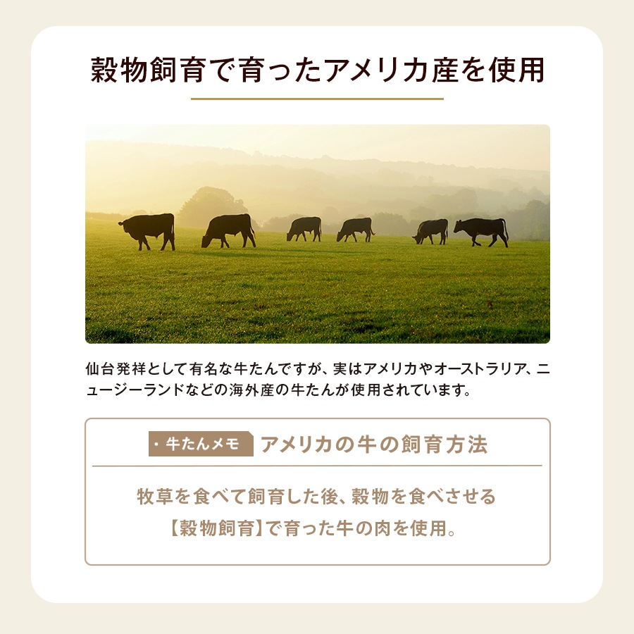 ��������ޤ뤴��1�ܡ�