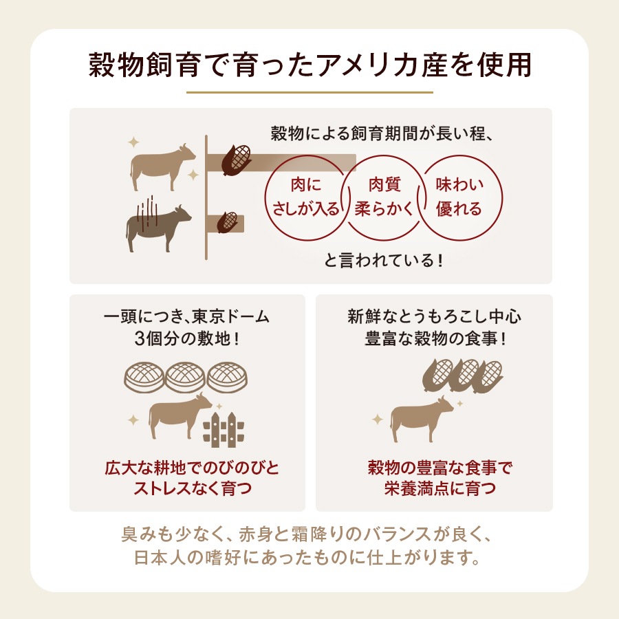 ��������ޤ뤴��1�ܡ�