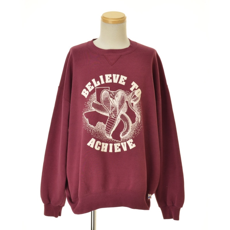 RUSSELL ATHLETIC / ��å��� ������ƥ��å� 90s USA�� ���� �ץ��� Ĺµ�������å� 