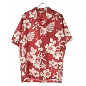 EVERGREEN ISLAND åȥݥ ϥӥ  Ⱦµ 