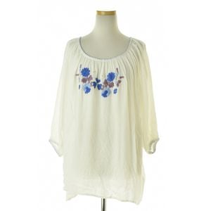 Amina  Discoat / ߥ  ǥ ɽ ʬµ֥饦 