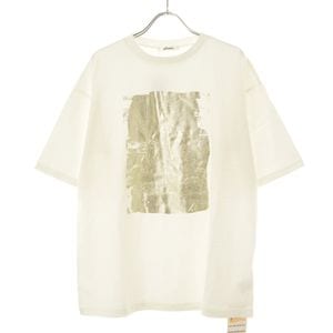 gleam / ꡼ С ץ ȾµT 