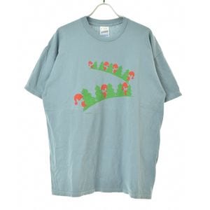  / ե륮 aarikka ե ȾµT 