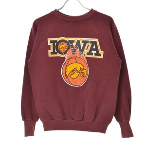 HEALTH KNIT / �إ륹�˥å� 80s IOWA �饰��� Ĺµ�������å� 