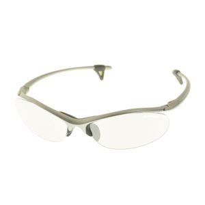 SWANS / ����� ���ݡ��� ���󥰥饹 