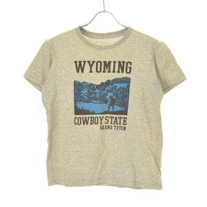 THE NORTH FACE / �Ρ����ե����� NT31504 WYOMING ȾµT����� 