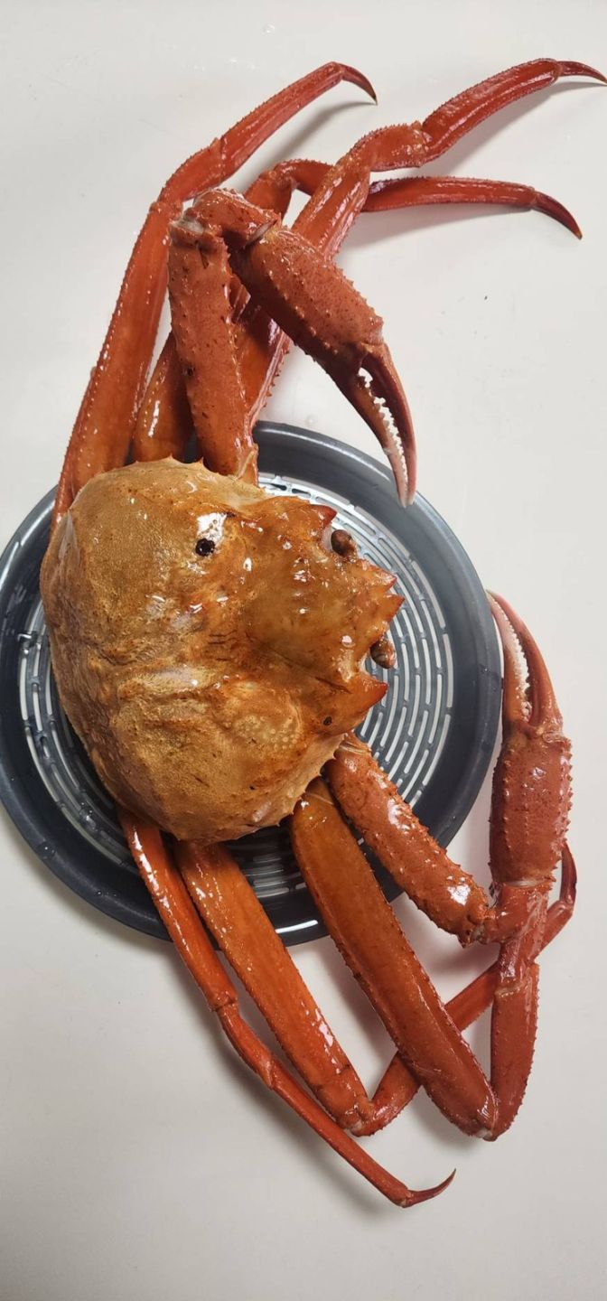 高志の紅ガニ（富山県 魚津漁港産）ボイル冷凍 1杯 750～800g