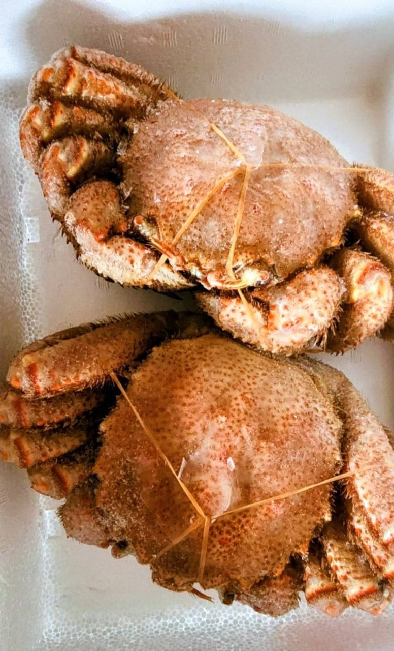 毛ガニ（北海道産）ボイル冷凍 1杯 500～650g