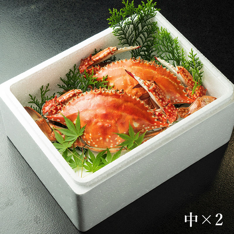 竹崎カニ 中セット(中×2杯)