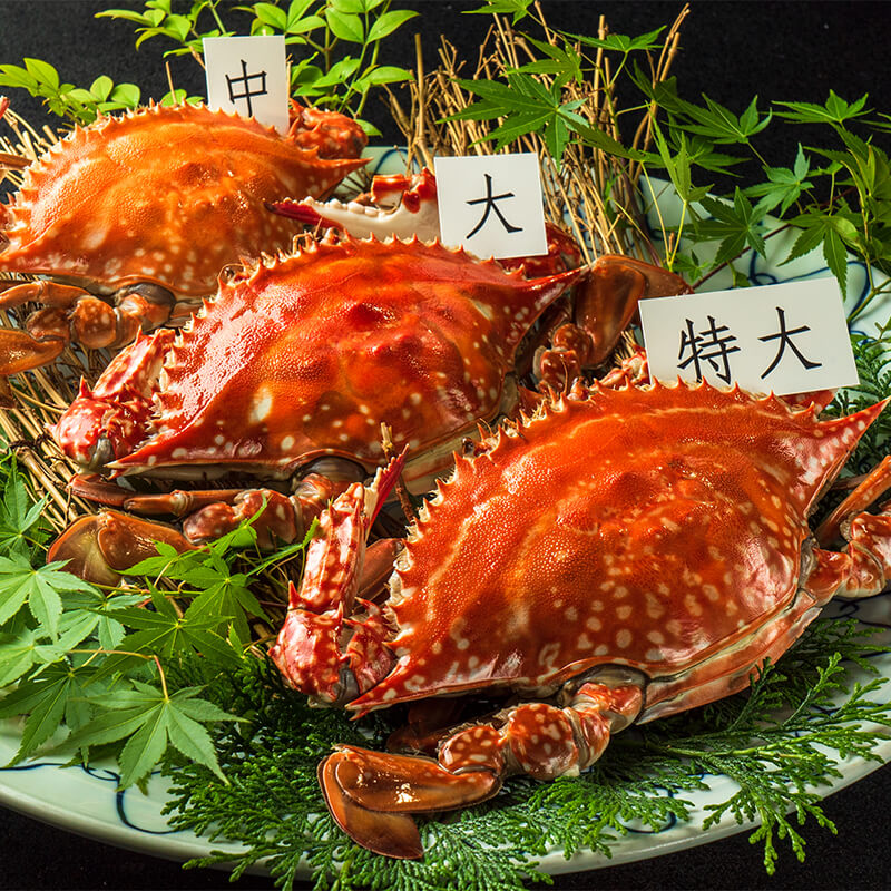 竹崎カニ 中セット(中×4杯)
