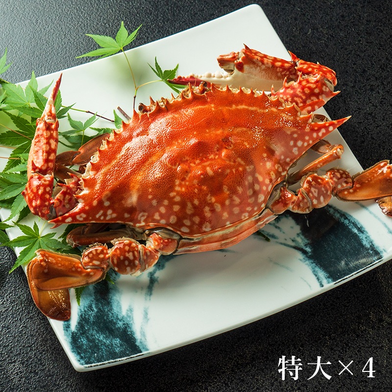 竹崎カニ 特大セット(特大×4杯)
