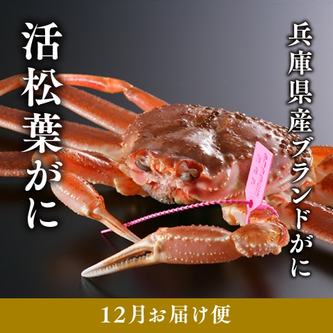 [12月お届け]兵庫県産 活松葉がに　１kg〜1.1kg（冷蔵）