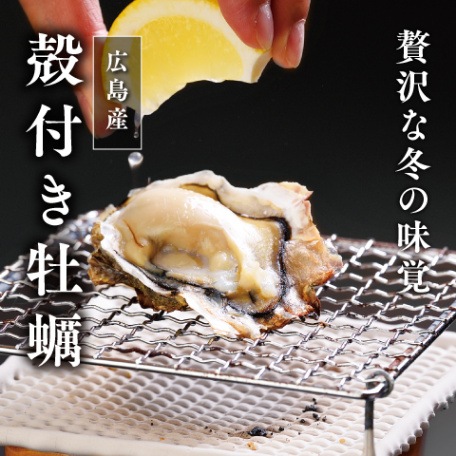 殻付き牡蠣(広島産)