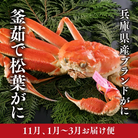 [11月・1月~3月お届け]兵庫県産 釜ゆで松葉がに [１kg~1.1kg］（湯がきあがり900g~1kg）（冷蔵）