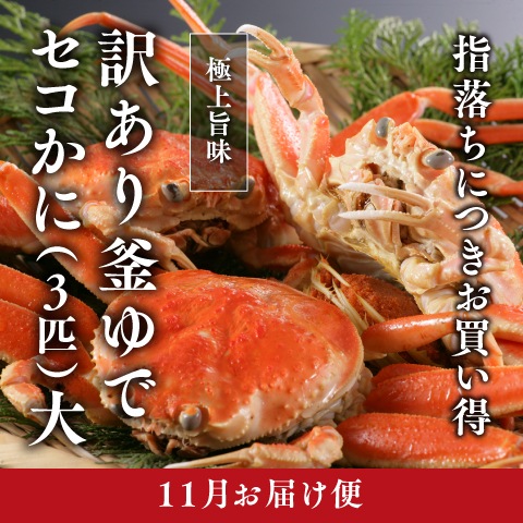 [11月お届け]訳あり釜ゆでセコがに（３匹）大サイズ（冷蔵）