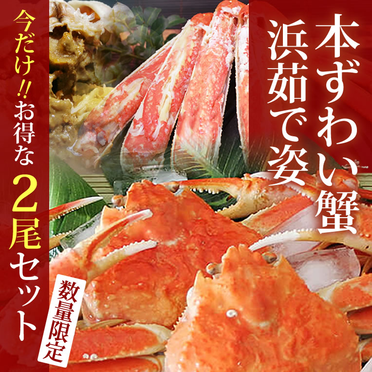 本ずわい蟹／浜茹で姿【600gサイズ】（2杯セット）※足し脚（差し脚