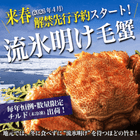 2026/4ͽ!!̾ʪήɹӥˡ̤ȯˡ4å󥯡(2å)