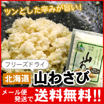 【メール便♪送料無料】北海蝦夷山わさび（フリーズドライ）1袋18ｇ【代引不可・着日指定不可・同梱不可】