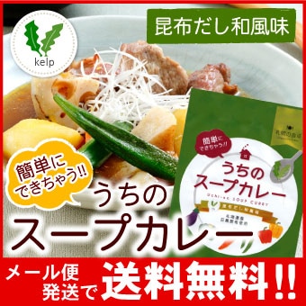 【メール便♪送料無料】札幌の食卓 うちのスープカレー（昆布だし和風）１袋（２食入）MIXスパイス付き【代引不可・着日指定不可・同梱不可】