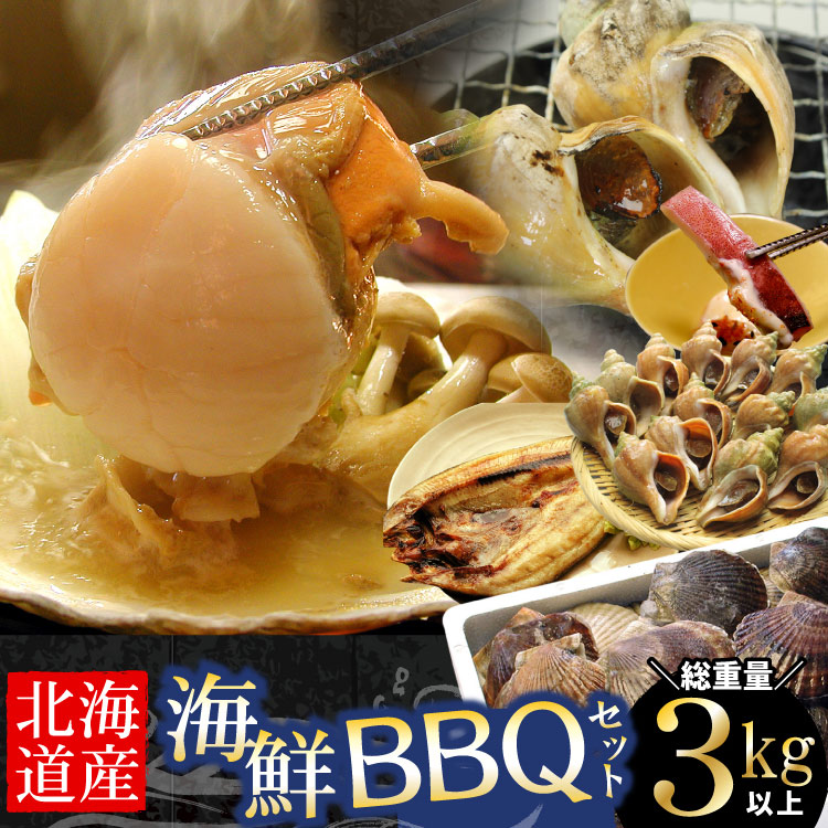 「総重量３kg以上」北海道産 海鮮 BBQ バーベキュー セット（ホタテ貝 青つぶ貝 ほっけ イカ）貝焼き ツブ イカ ギフト 浜焼き 殻焼き キャンプ GW お中元 帰省