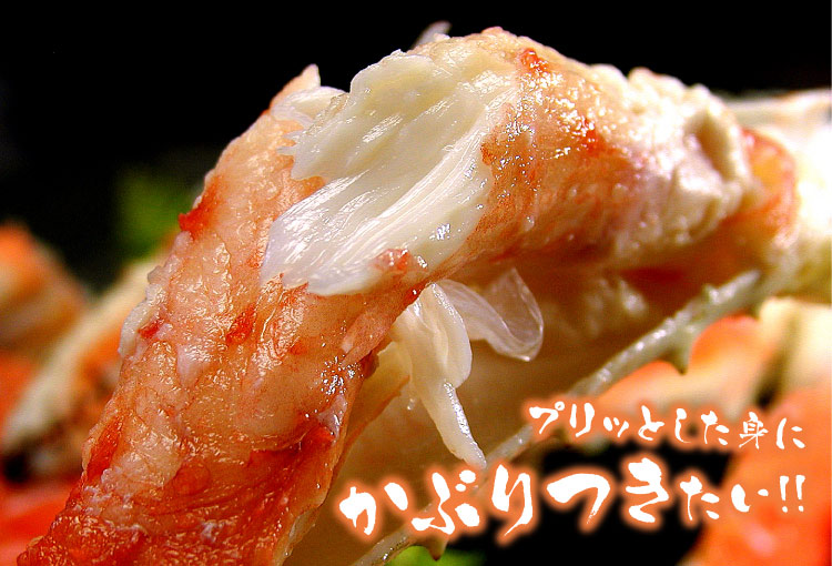 たらばがに足 約800ｇ×１肩 送料無料（沖縄宛は別途送料2,200円頂戴いたします）