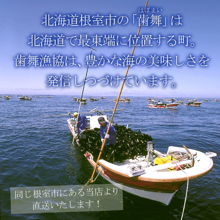 はぼまい 昆布しょうゆ １L×３本入 昆布醤油 北海道 贈り物 食べ物 ギフト 送料無料（沖縄宛は別途送料を加算）※賞味期限は2027年2月以降
