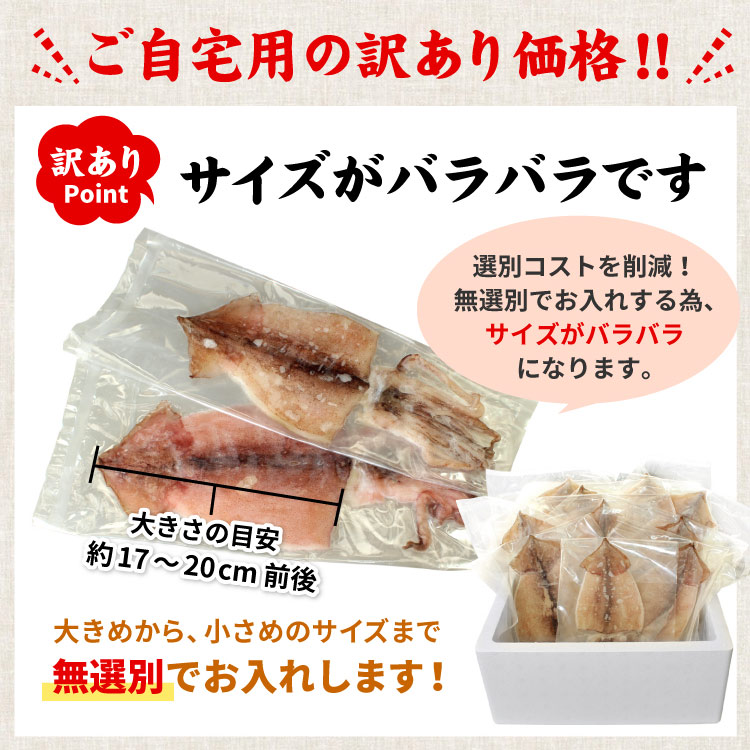 訳あり 北海道 根室産 スルメイカ 開き干し 1kg 約8-15枚入 大容量 BBQ バーベキュー おつまみ イカ いか 冷凍 海鮮 業務用 送料無料(沖縄宛は別途送料)