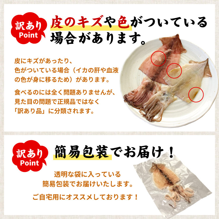 訳あり 北海道 根室産 スルメイカ 開き干し 1kg 約8-15枚入 大容量 BBQ バーベキュー おつまみ イカ いか 冷凍 海鮮 業務用 送料無料(沖縄宛は別途送料)